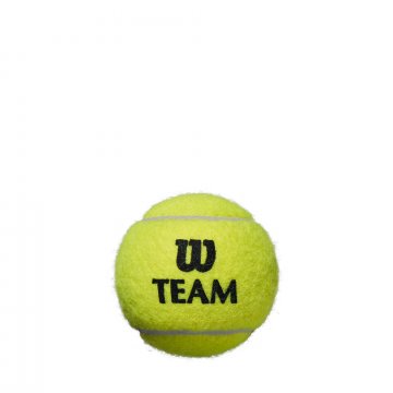 Wilson Team W Practice Tennisbälle, 4er Dose, gelb