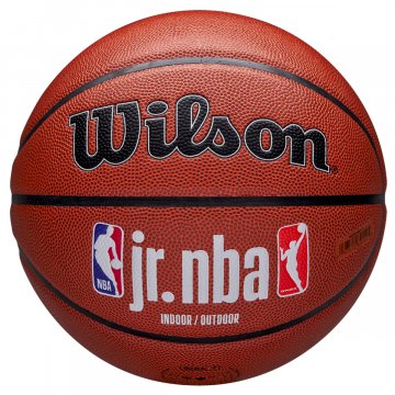 Wilson Jr. NBA Fam Logo Authentic Indoor/Outdoor Basketball, braun