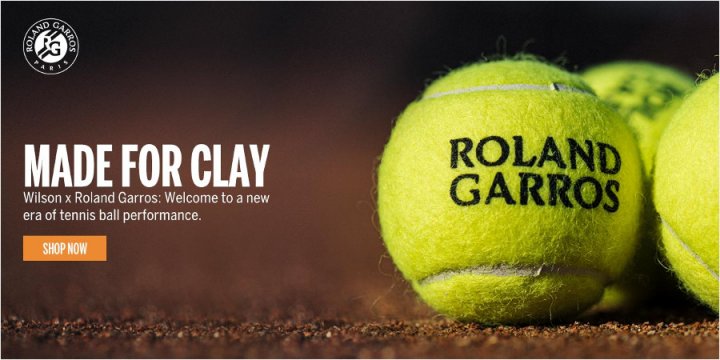 Wilson Roland Garros Official Tennisbälle