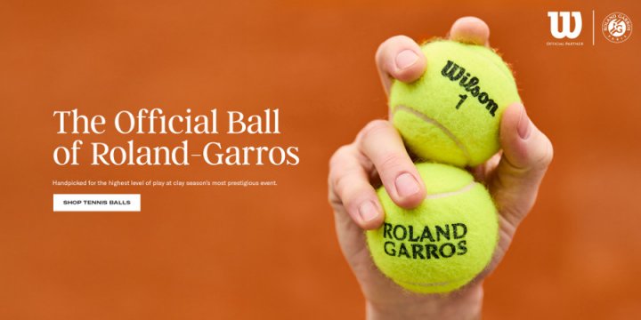 Wilson Roland Garros Official Tennisbälle